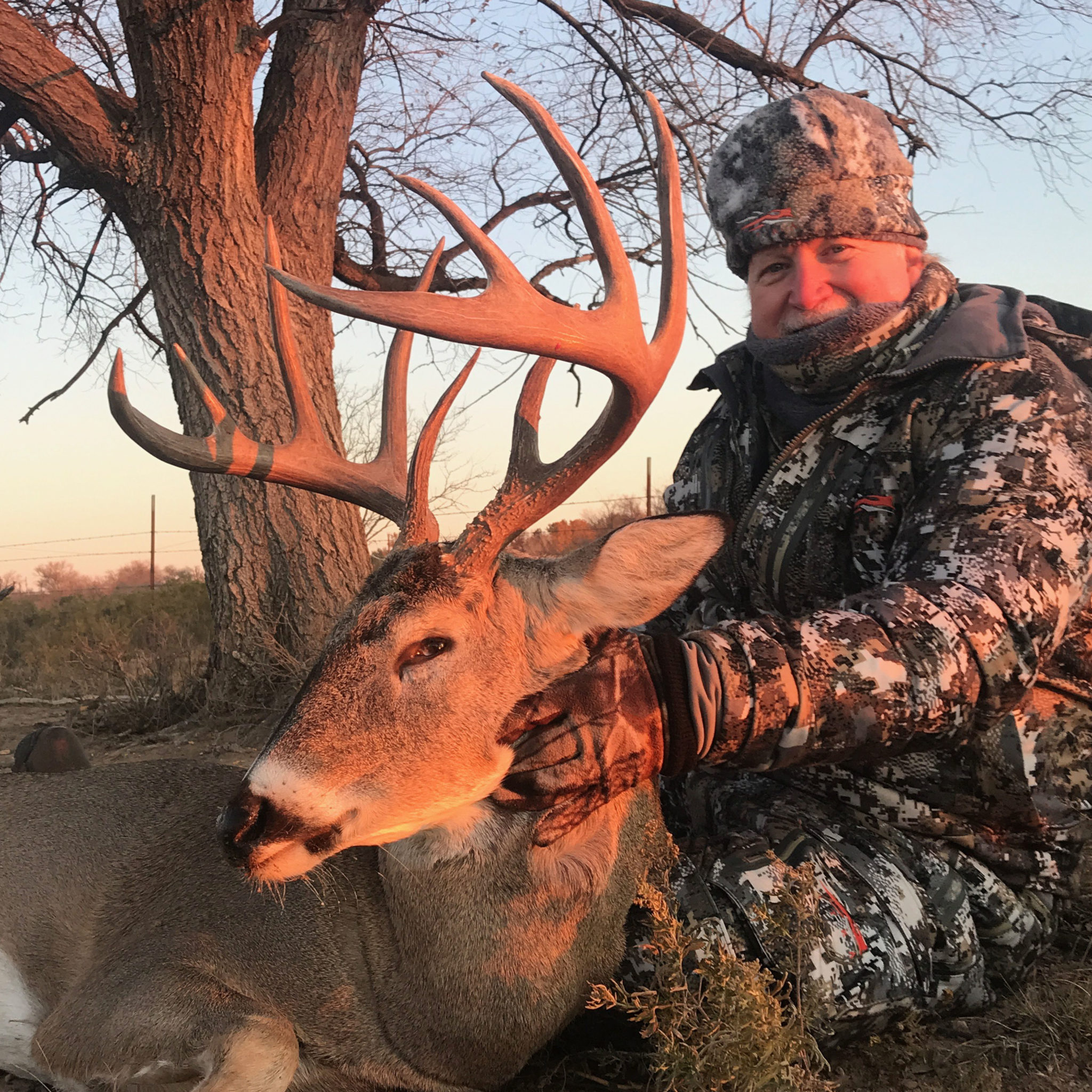whitetail deer at all american outfitter in the texas panhandlle